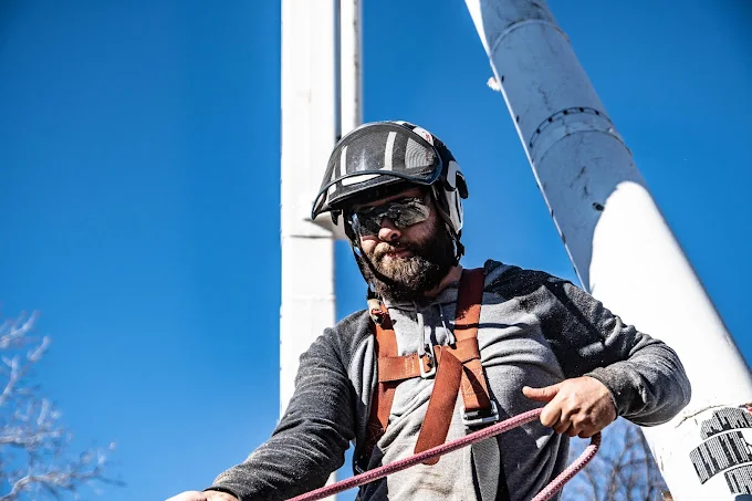 Wichita Tree Service arborist working from a bucket truck