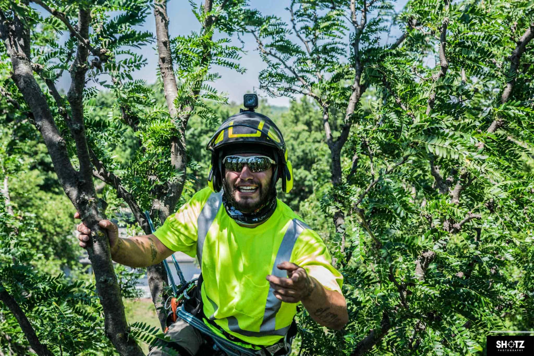 Wichita Tree Service climber pruning a tree