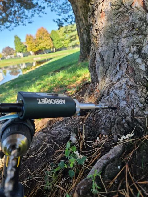 Arborjet tree injection for plant health care